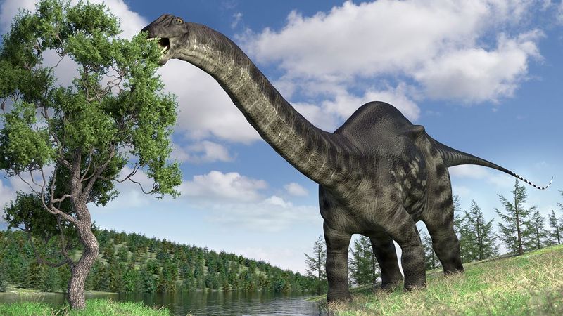 The Brontosaurus Dinosaur