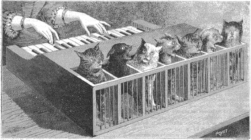 The Cat Piano