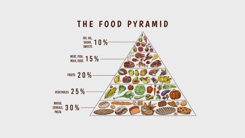 The Food Pyramid