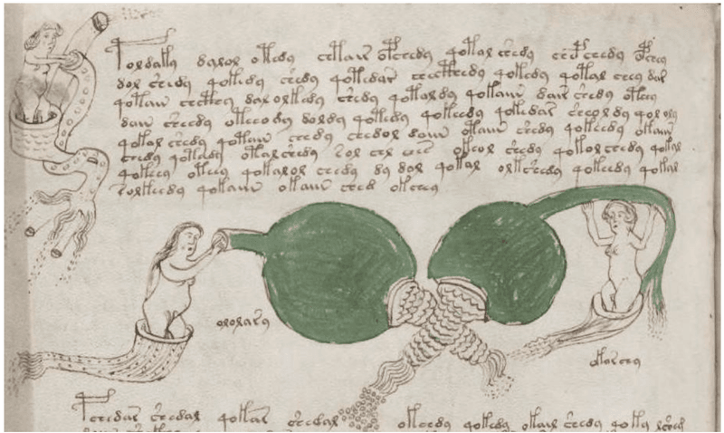 The Mysterious Voynich Manuscript