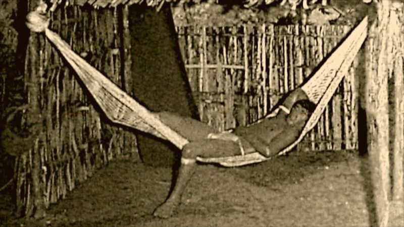 The Revolving Hammock