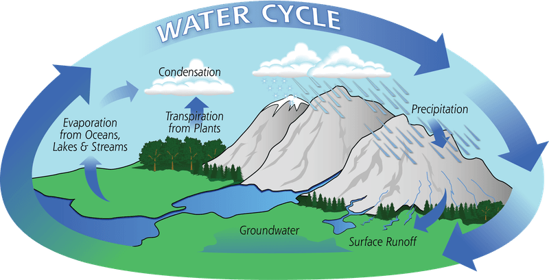 The Water Cycle