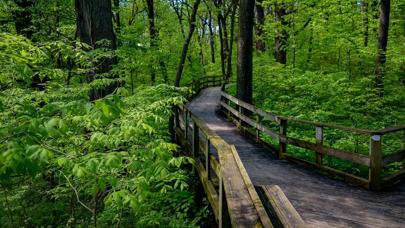 Exploring Nature Trails