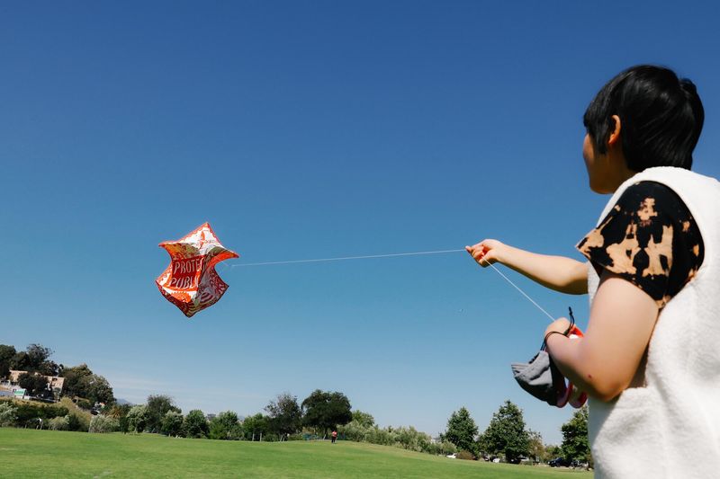 Flying Kites in the Park