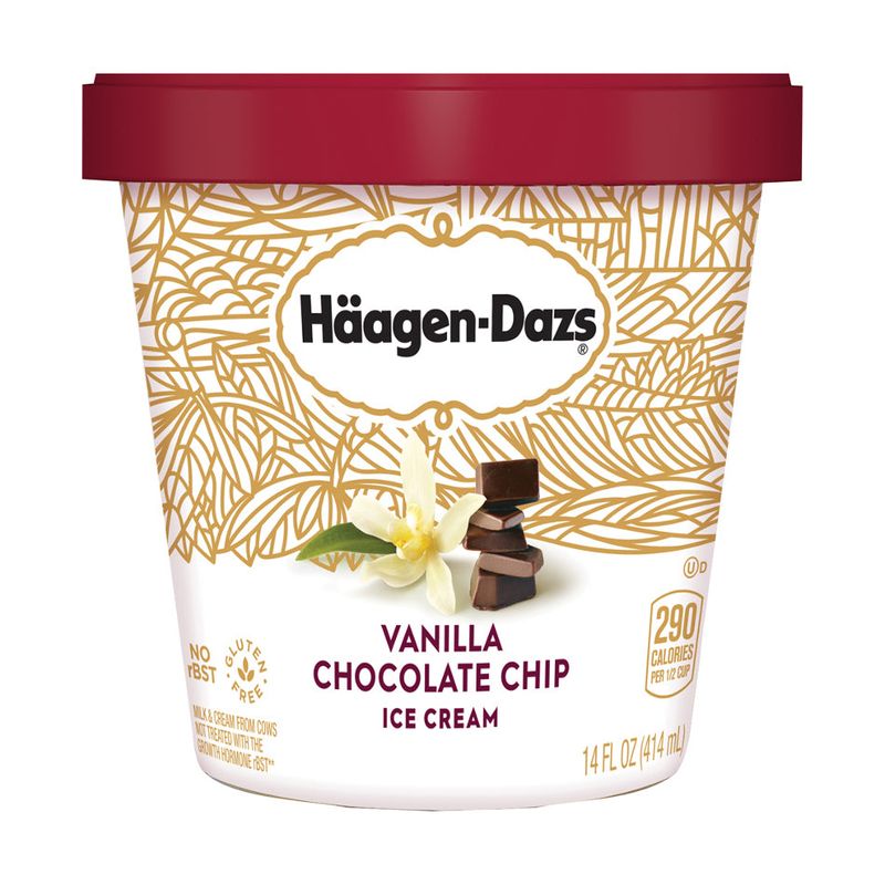 Haagen-Dazs Vanilla Chocolate Chip