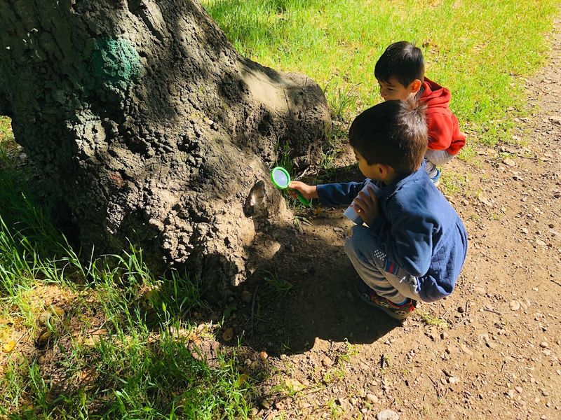 Nature Scavenger Hunts