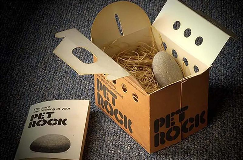 Pet Rock - 1970s