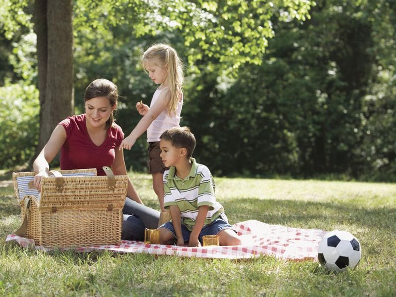 Sunday Family Picnics