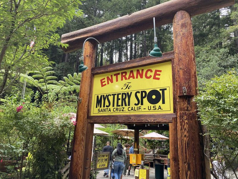 The Mystery Spot - Santa Cruz, California