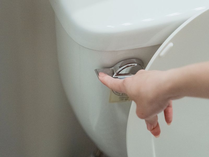 The Toilet Flush Spin Myth