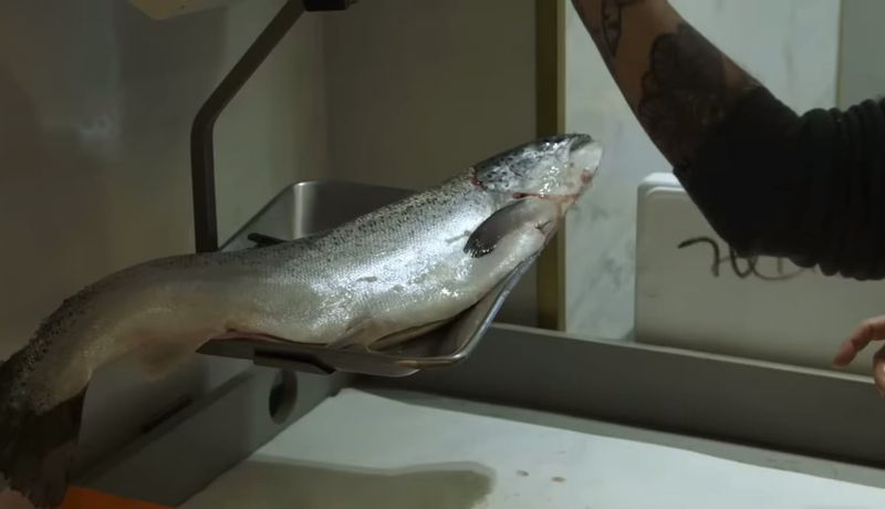 UK's Handling Salmon in Suspicious Circumstances Act