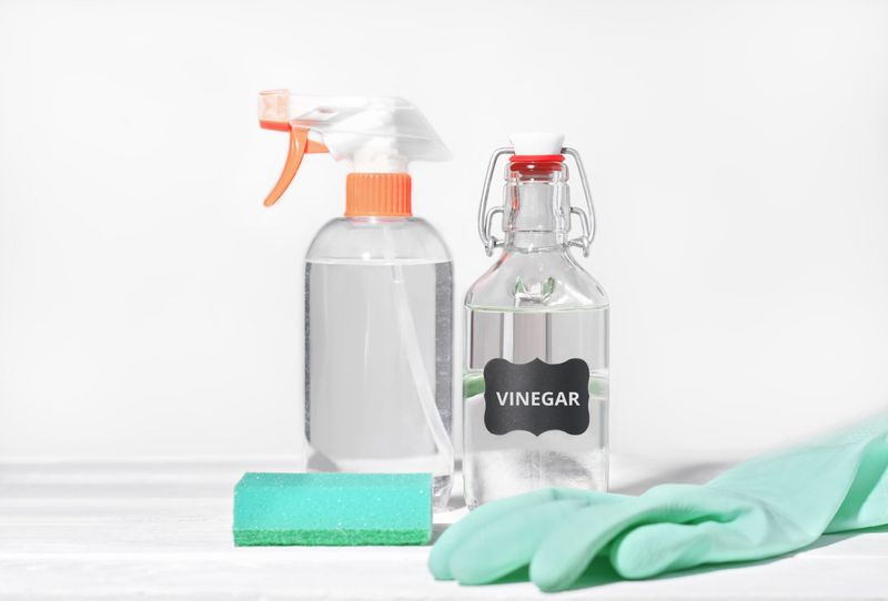 Vinegar for Cleaning