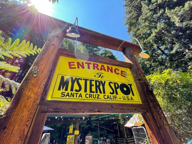 The Mystery Spot