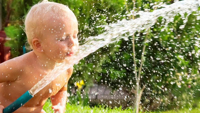 Everyone Drank from the Hose