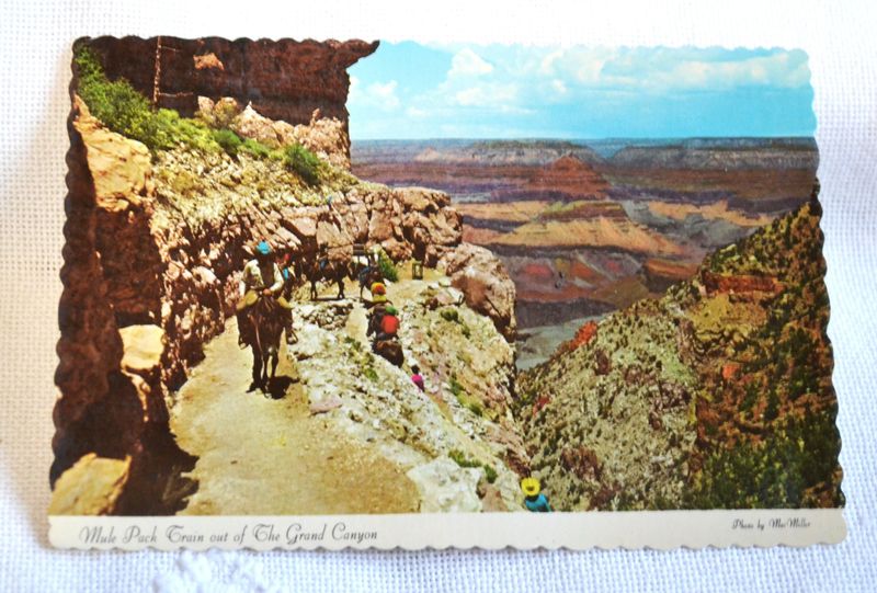 Grand Canyon Postcard