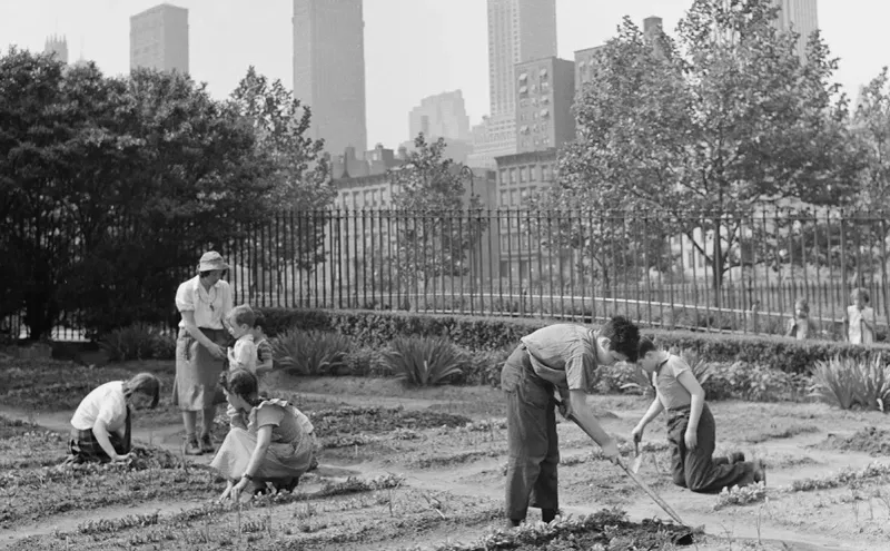 Victory Gardens