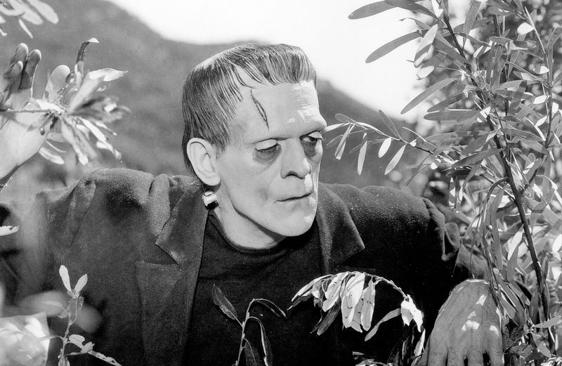 Boris Karloff: The Original Monster Master