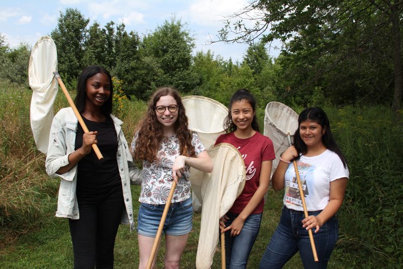 Community Health Detectives