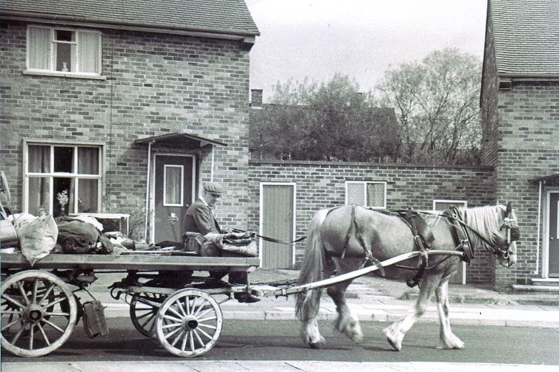 Rag-and-Bone Collector