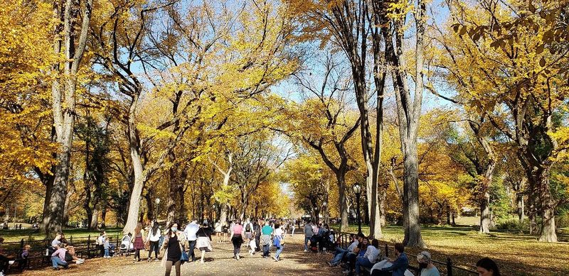 Central Park's Literary Walk, 1965