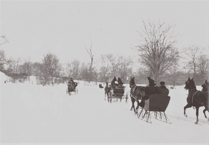 Horse-Drawn Sleigh Rides, 1890s