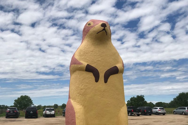 Prairie Dog Town's Furry Inhabitants