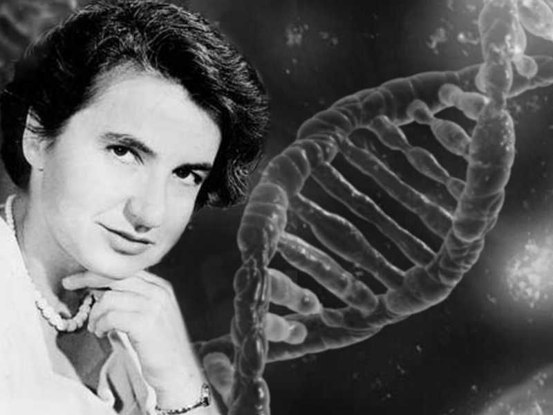 Rosalind Franklin's DNA Discovery Snatched