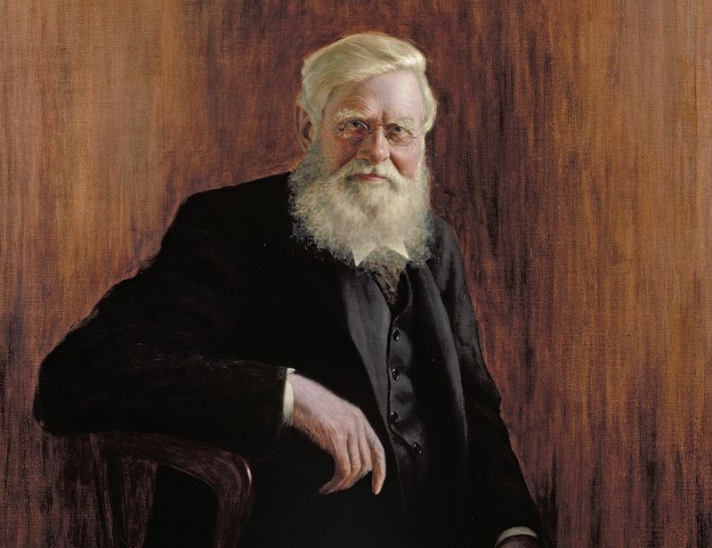 Wallace Discovered Natural Selection Before Darwin