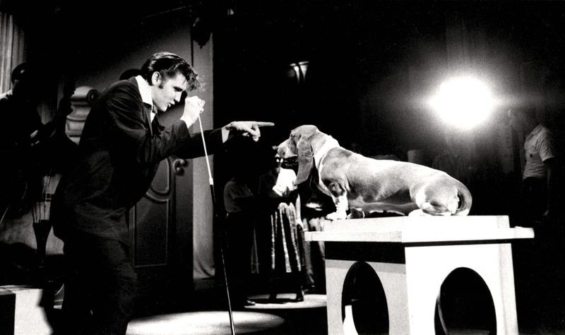 Elvis Presley – 'Hound Dog'