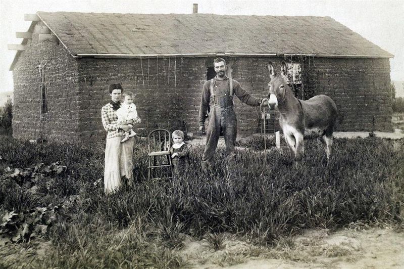 Berm Houses