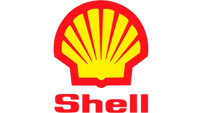 Shell's Detailed Seashell Evolution