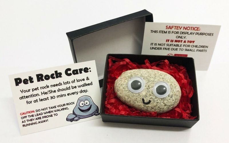 Pet Rocks with Personalities