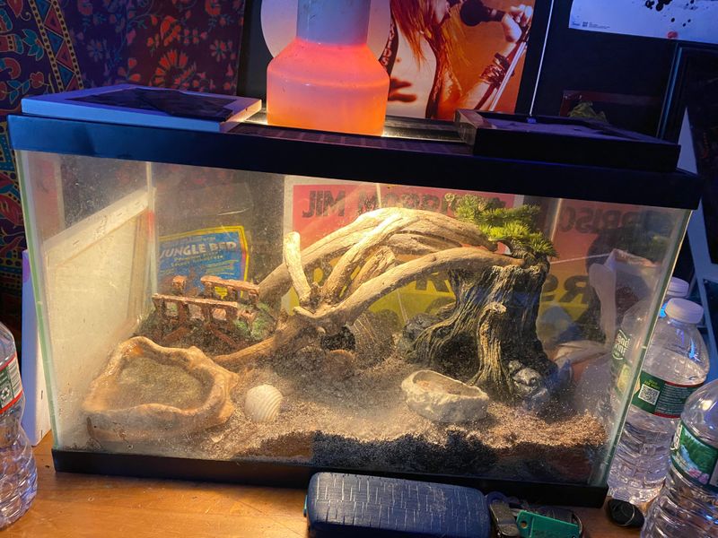 Hermit Crab Habitats