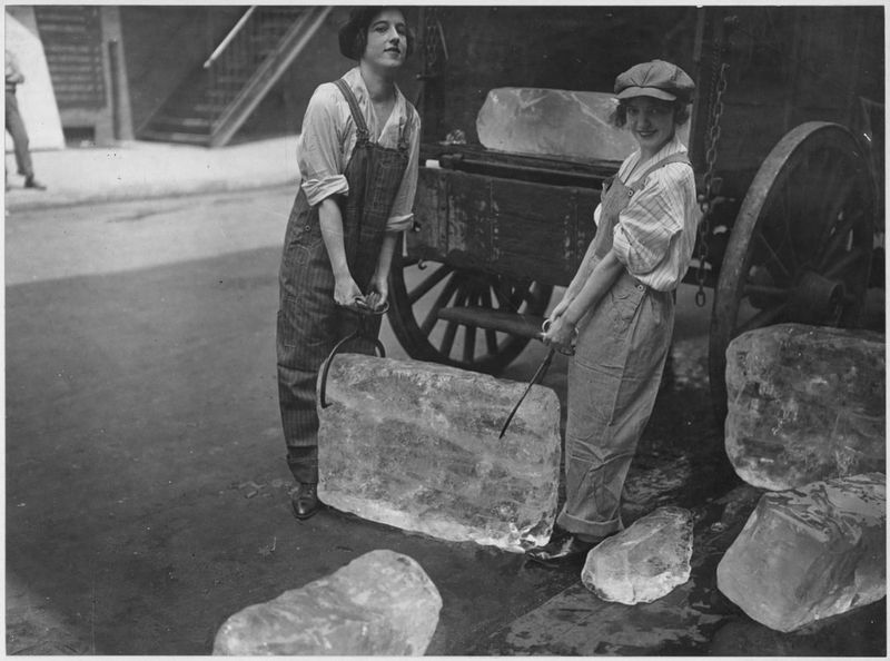 Ice Delivery Assistant