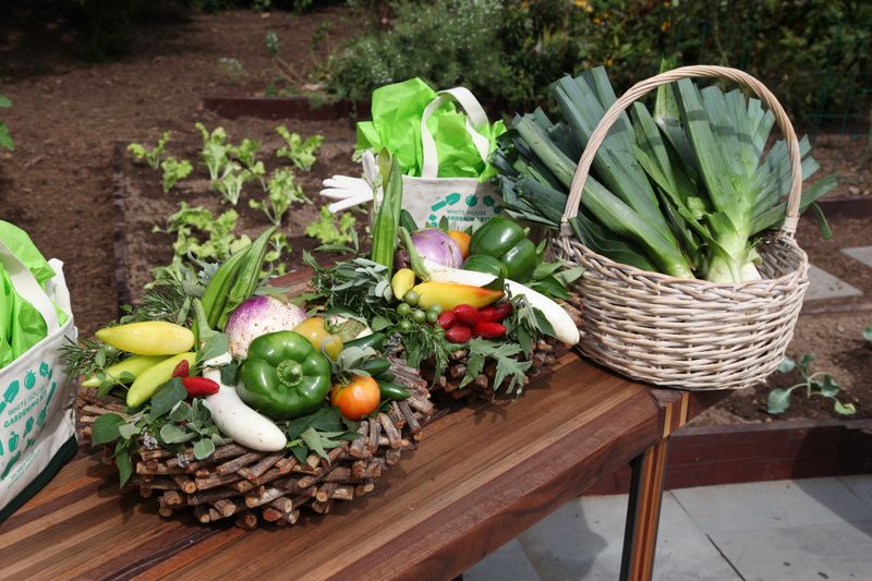 Victory Gardens Reborn: Growing Groceries To Save Cash