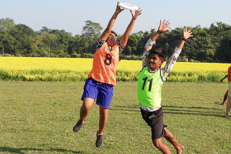 The Ultimate Frisbee Fad