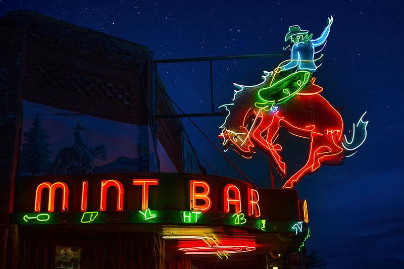 The Mint Bar (Sheridan, Wyoming)