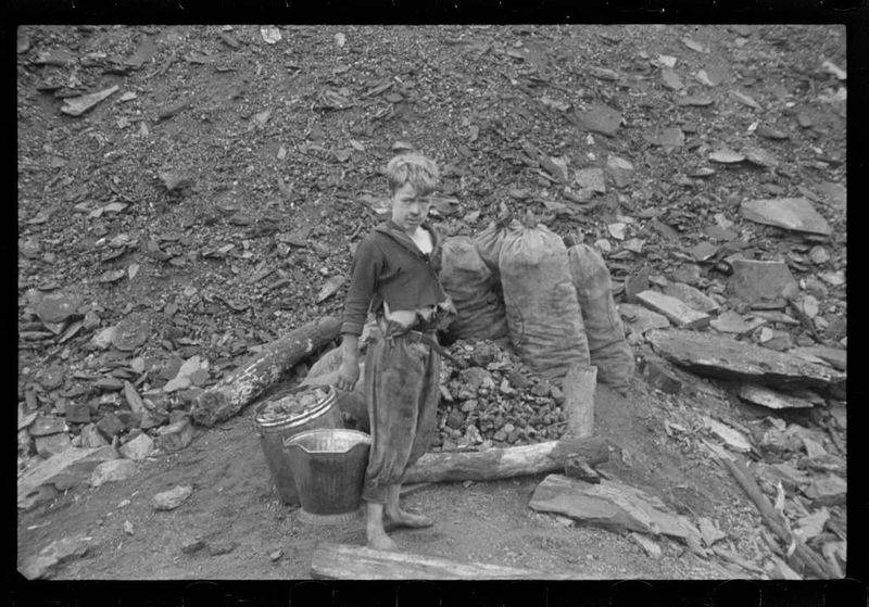 Coal Scavenger