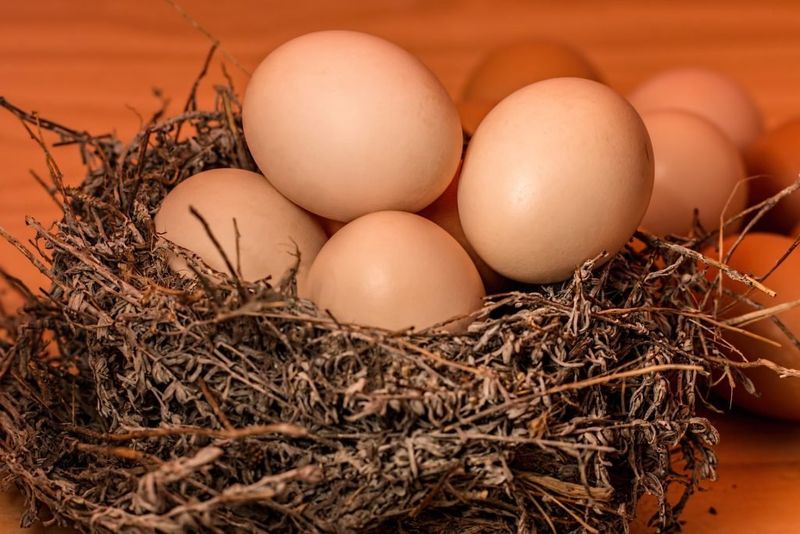 Egg Dreams Prosperity