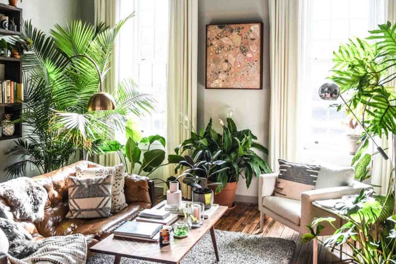The Fern Bar Living Room: The Indoor Rainforest