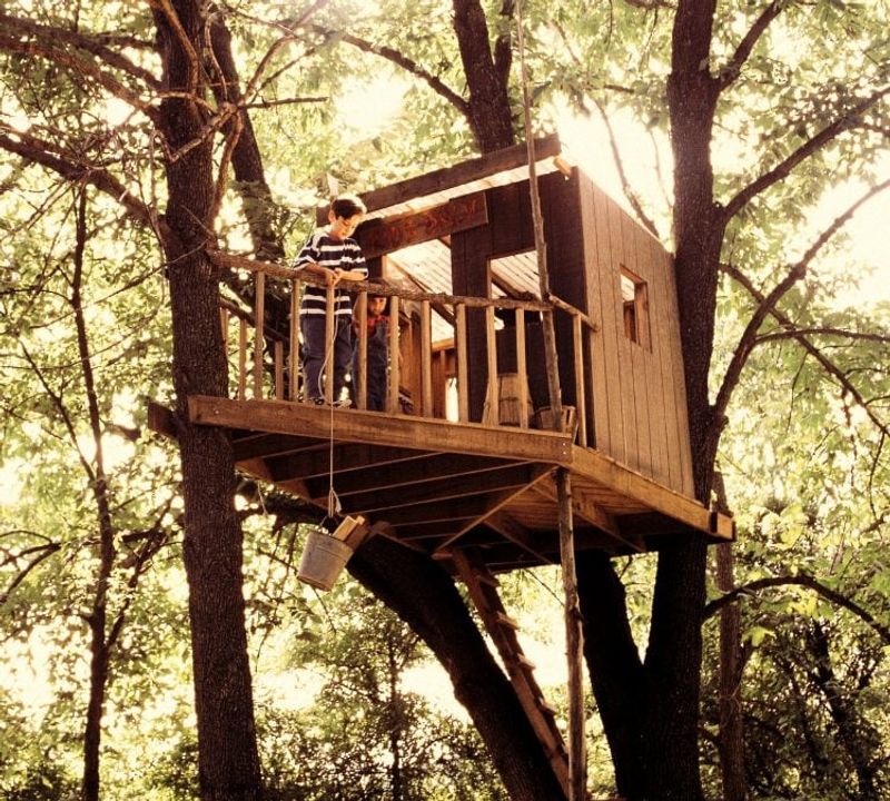 Building Backyard Forts