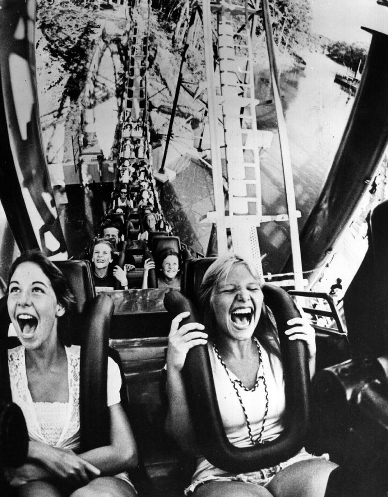 Amusement Parks