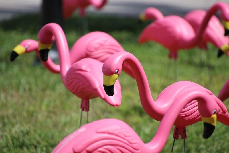 Lawn Flamingo Flocking