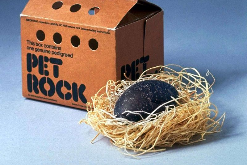 Pet Rocks Phenomenon