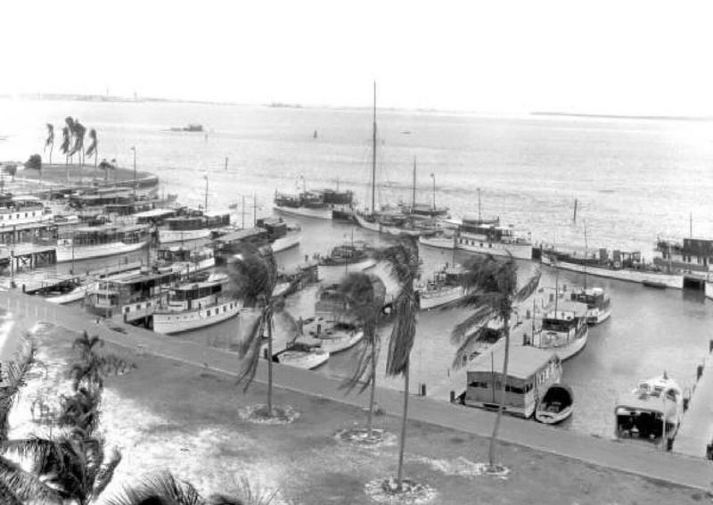 Bayfront Park Marina, Miami 1920s